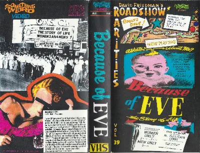 Because of Eve VHS cover