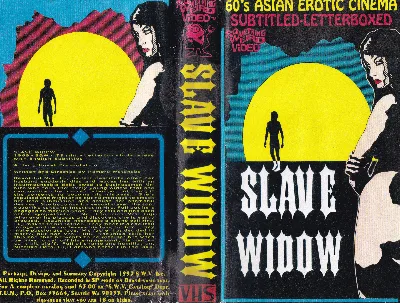 Slave Widow VHS cover