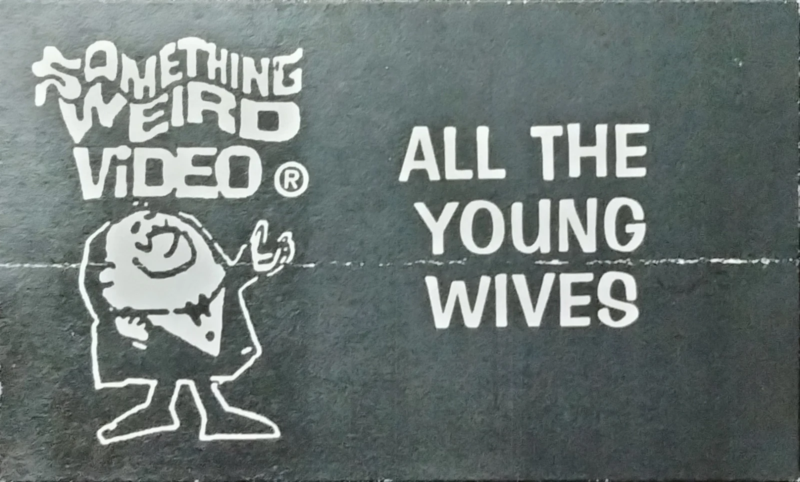 All The Young Wives VHS front label scan